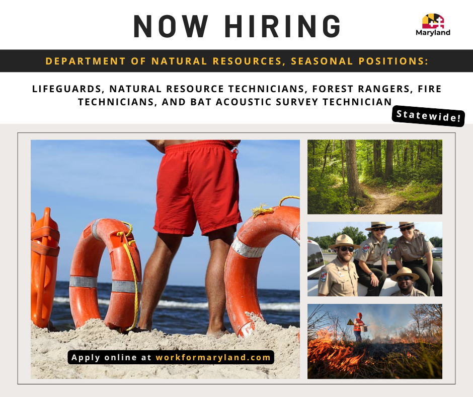 The Department of Natural Resources is Hiring seasonal positions!